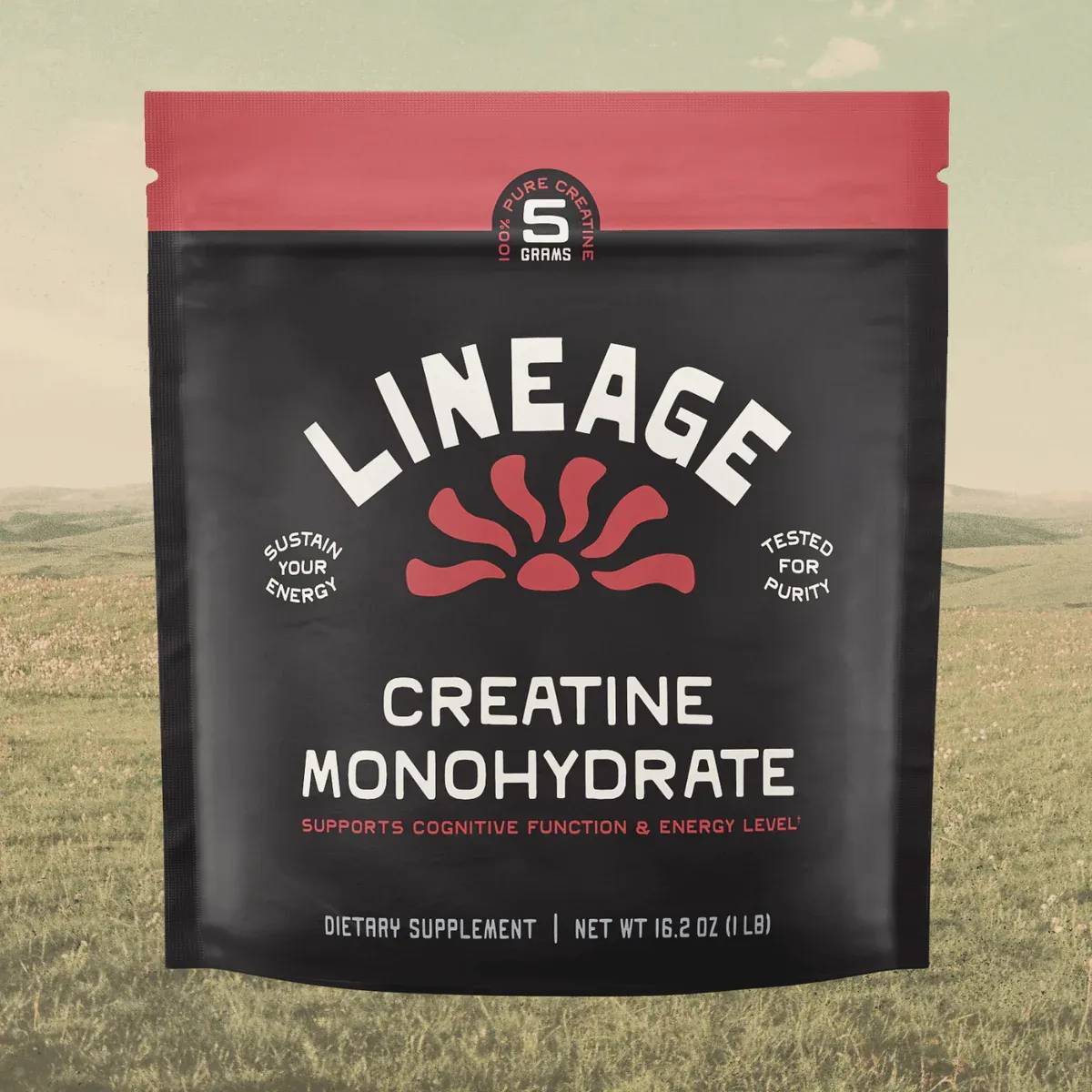 Premium Micronized Creatine with Sea Salt