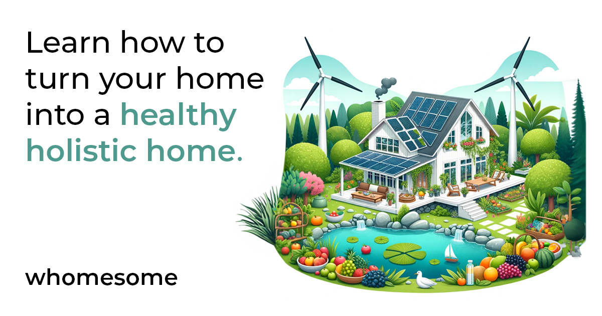 Healthy Holistic Homes